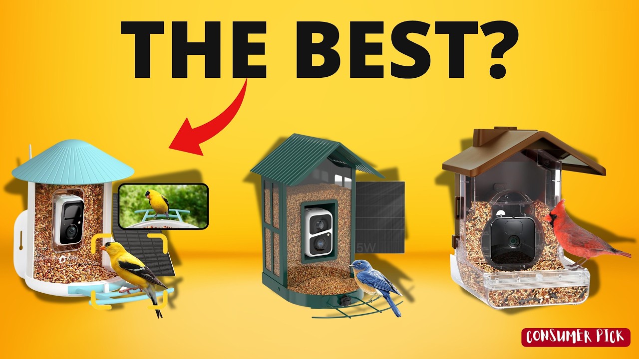 Best Bird Feeder Camera 2025 - (Which One is Right for You?)