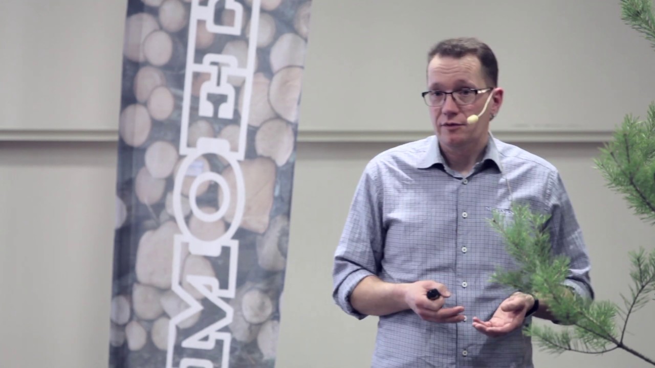 Offensiv skogsbruksplan