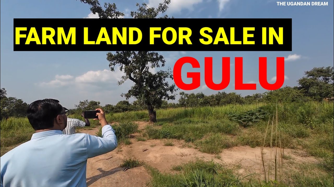 BUYING LAND IN UGANDA - FARM LAND FOR SALE IN GULU, CWERO DISTRICT 
