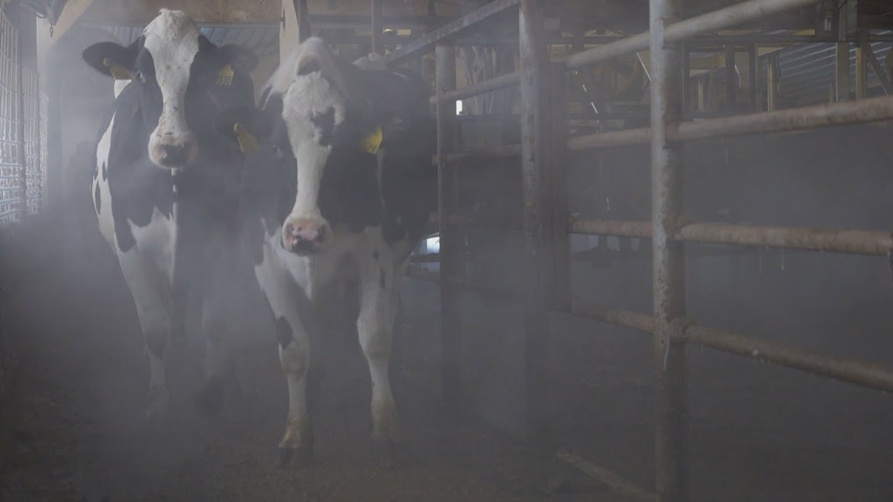 La semaine verte | Incendies à la ferme