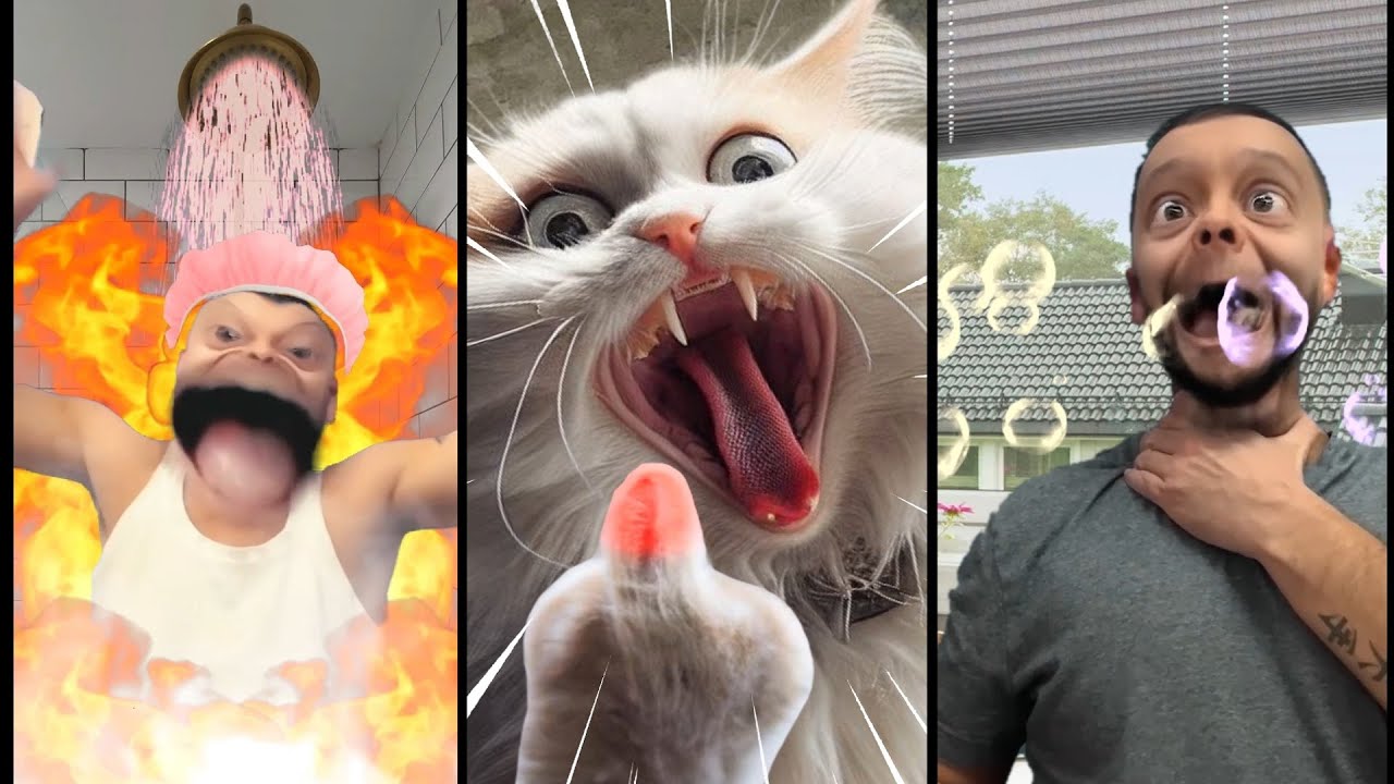 Tom sings vs cat (part2)
