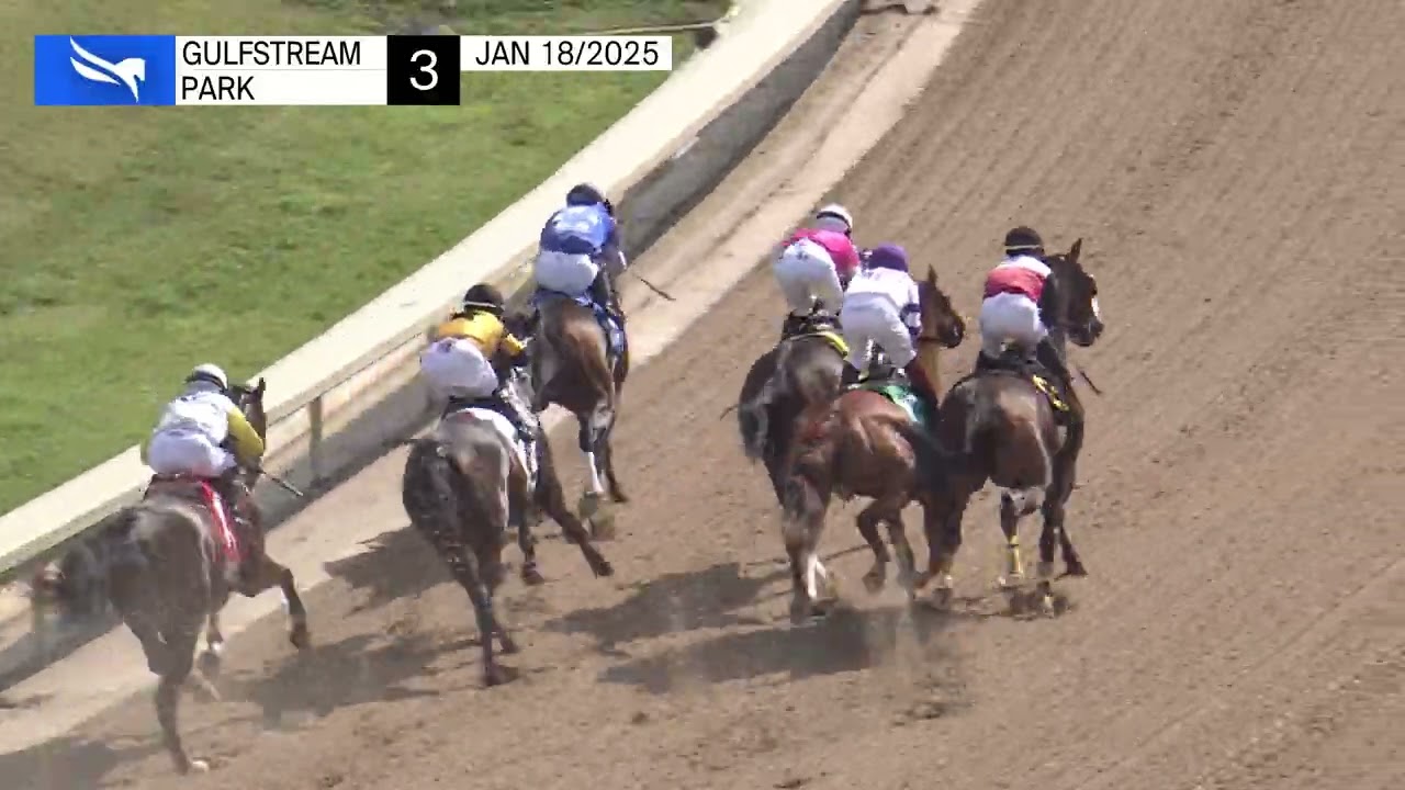 Gulfstream Park Replay Show | January 18, 2025