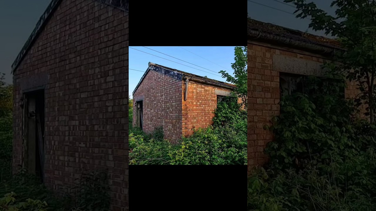 Overgrown Farm 🏚️🐮🌾#urbex #urbexphotography #urbexphoto #urbexpeople #urbexworld #urbexplaces