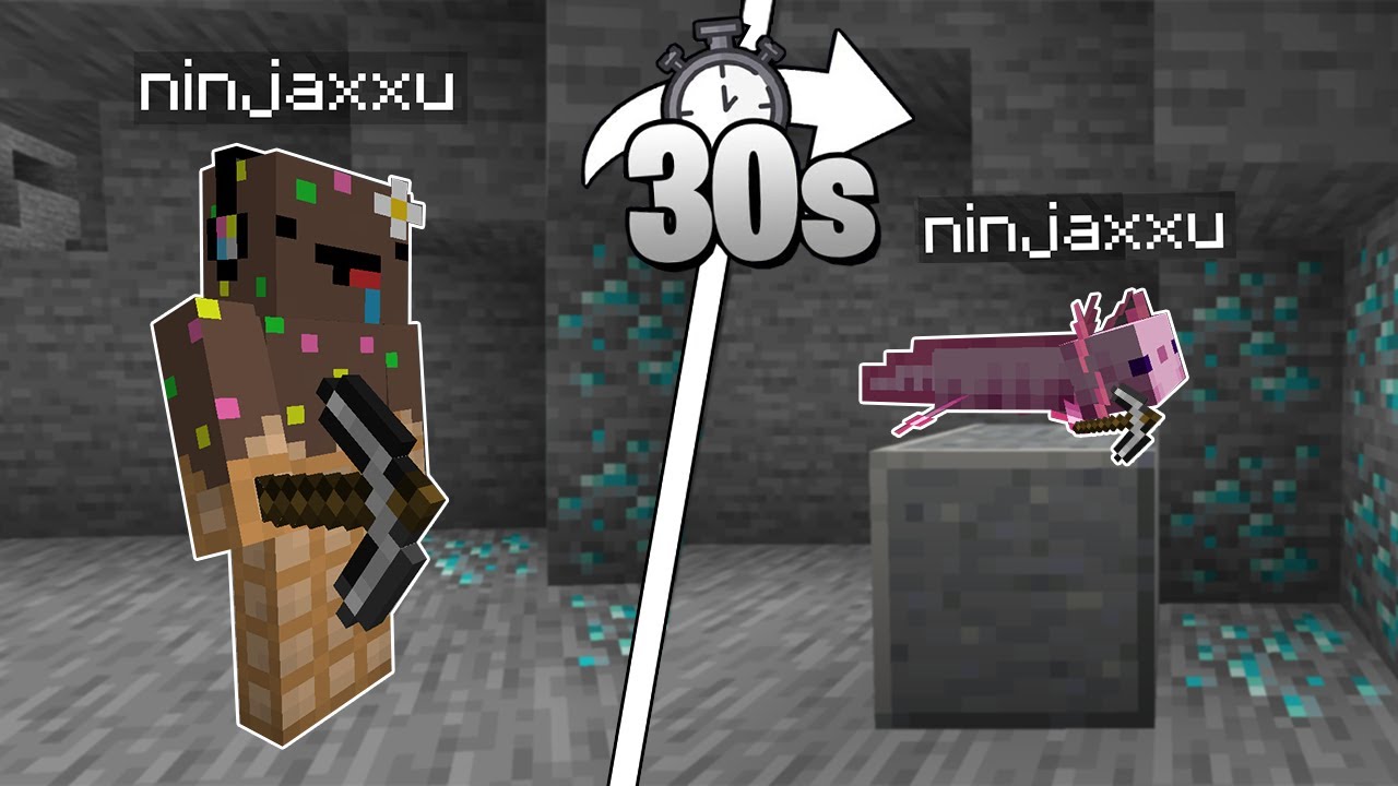 Minecraft mais toutes les 30 sec je me change en Mob..