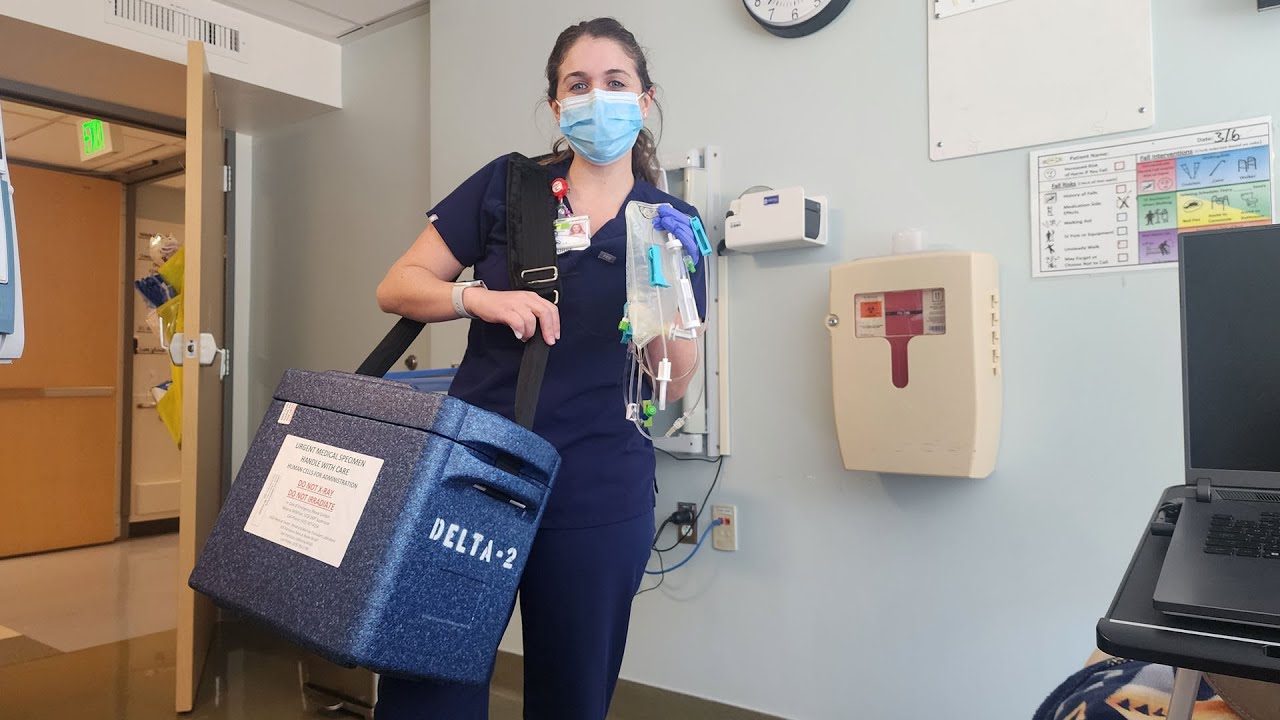 My Journey 41 - Day ZERO - Transplant Day