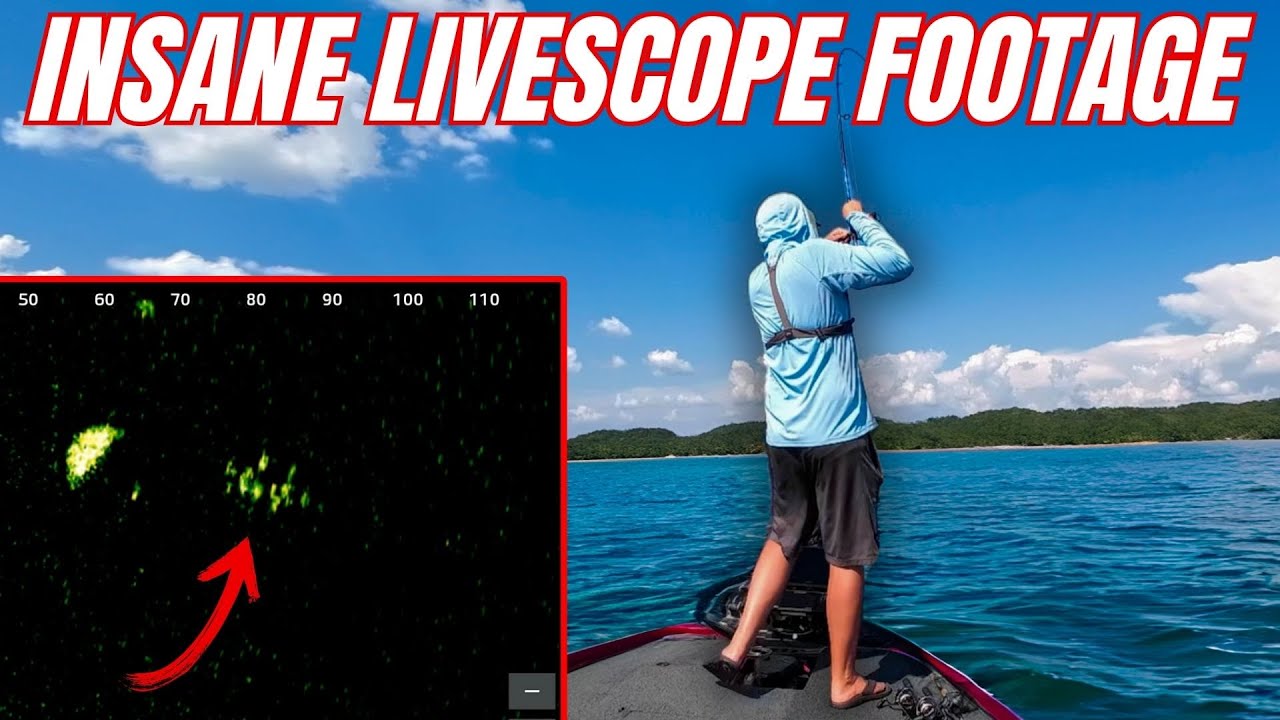 The Craziest Bass Behaviour I’ve Seen on Livescope!
