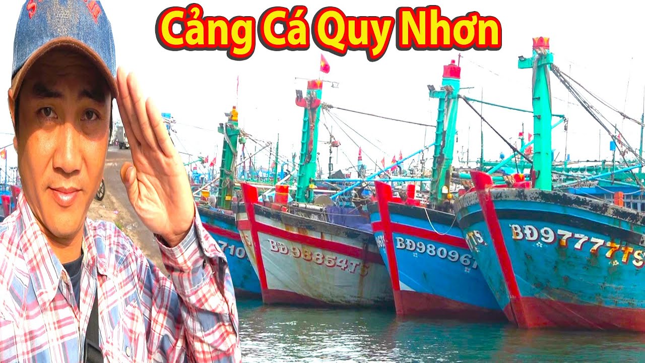 Gặp Được Nhiều Cảnh Hay Tại Cảng Cá Quy Nhơn - Bình Định || Quá Tuyệt Vời