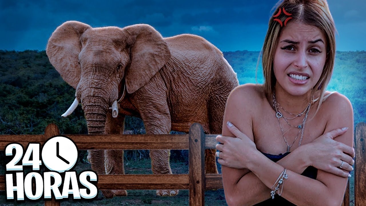 PASSEI A NOITE NO ZOOLÓGICO !!