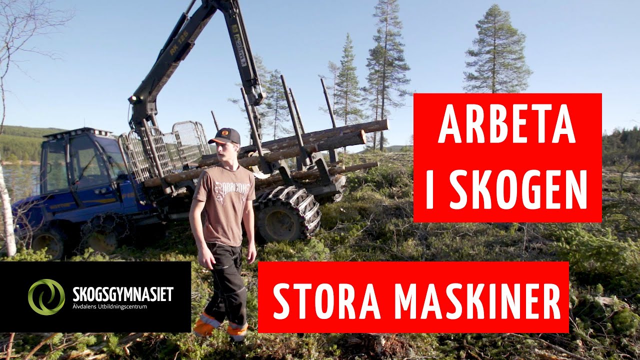 Skogsgymnasiet