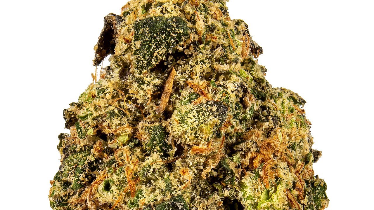 Dawgmo Cookies | Strain Review
