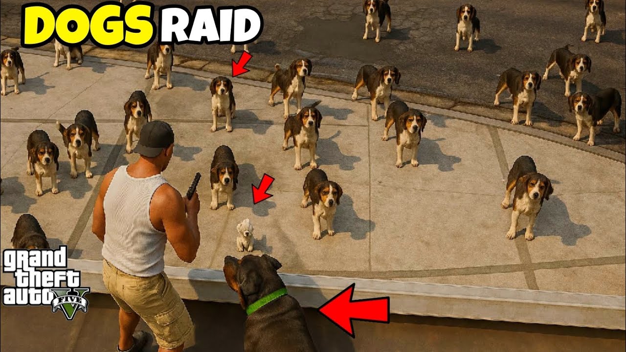 FRANKLIN TAKES REVENGE OF CHOPS FRIEND'S IN GTA 5!