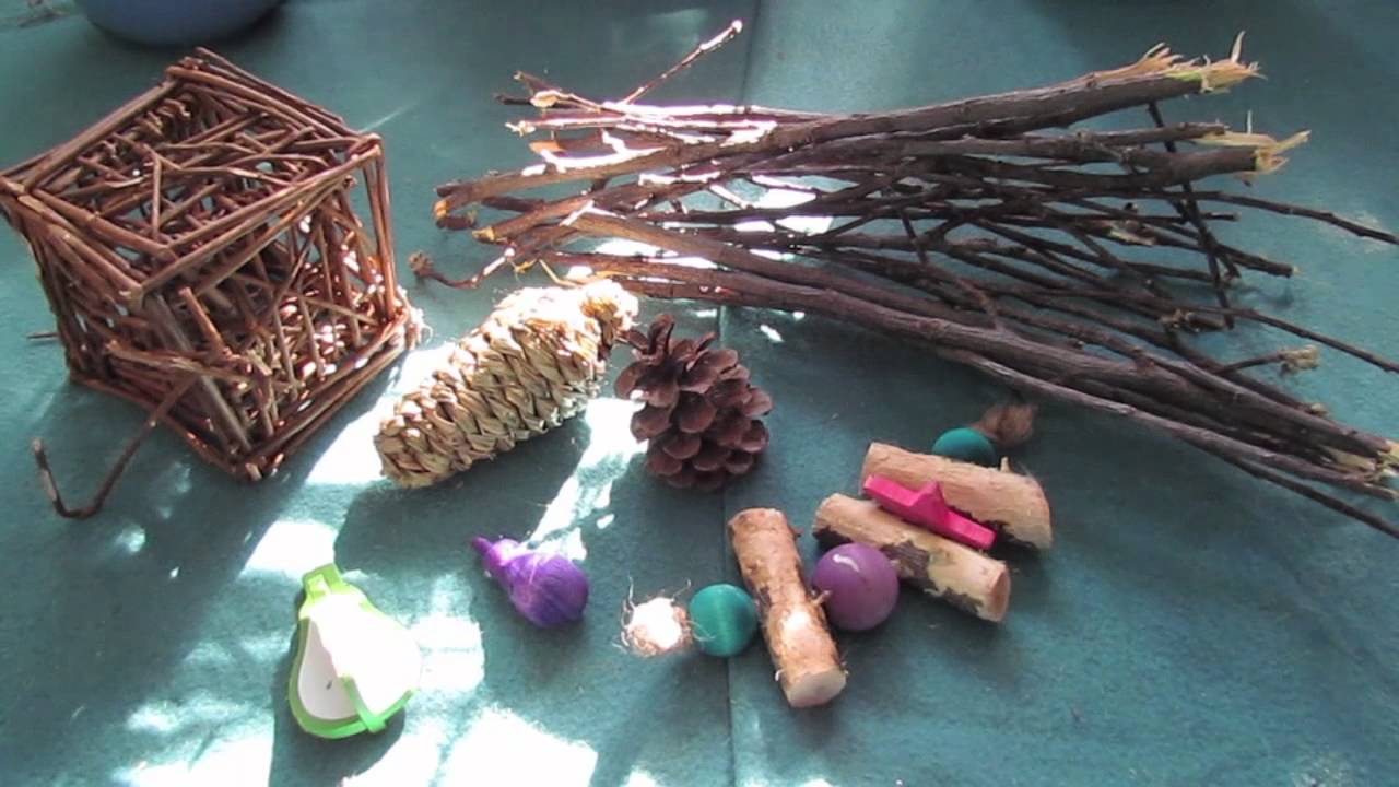 BudgetBunny: Recommended Rabbit Supplies
