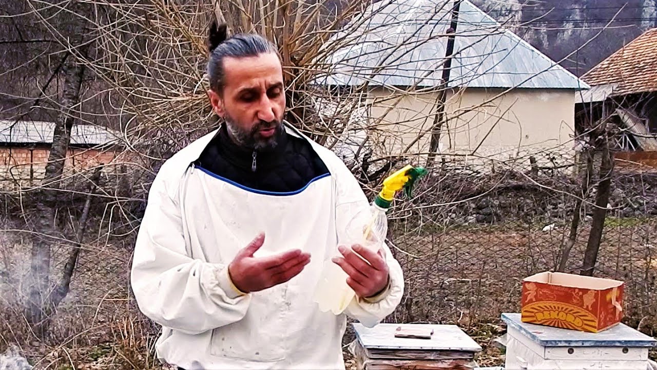 Quzuqulağı (oksalat) turşusu. Hansı dozada və necə verək?