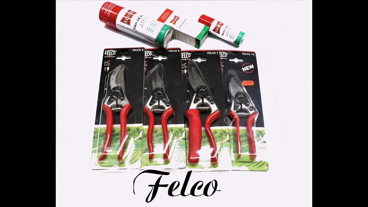 Wartung von Felco Scheren