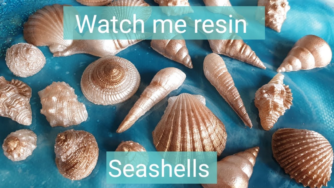 Watch me resin; Seashells