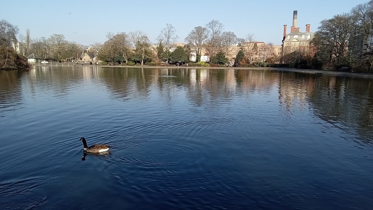 Leazes Park Newcastle