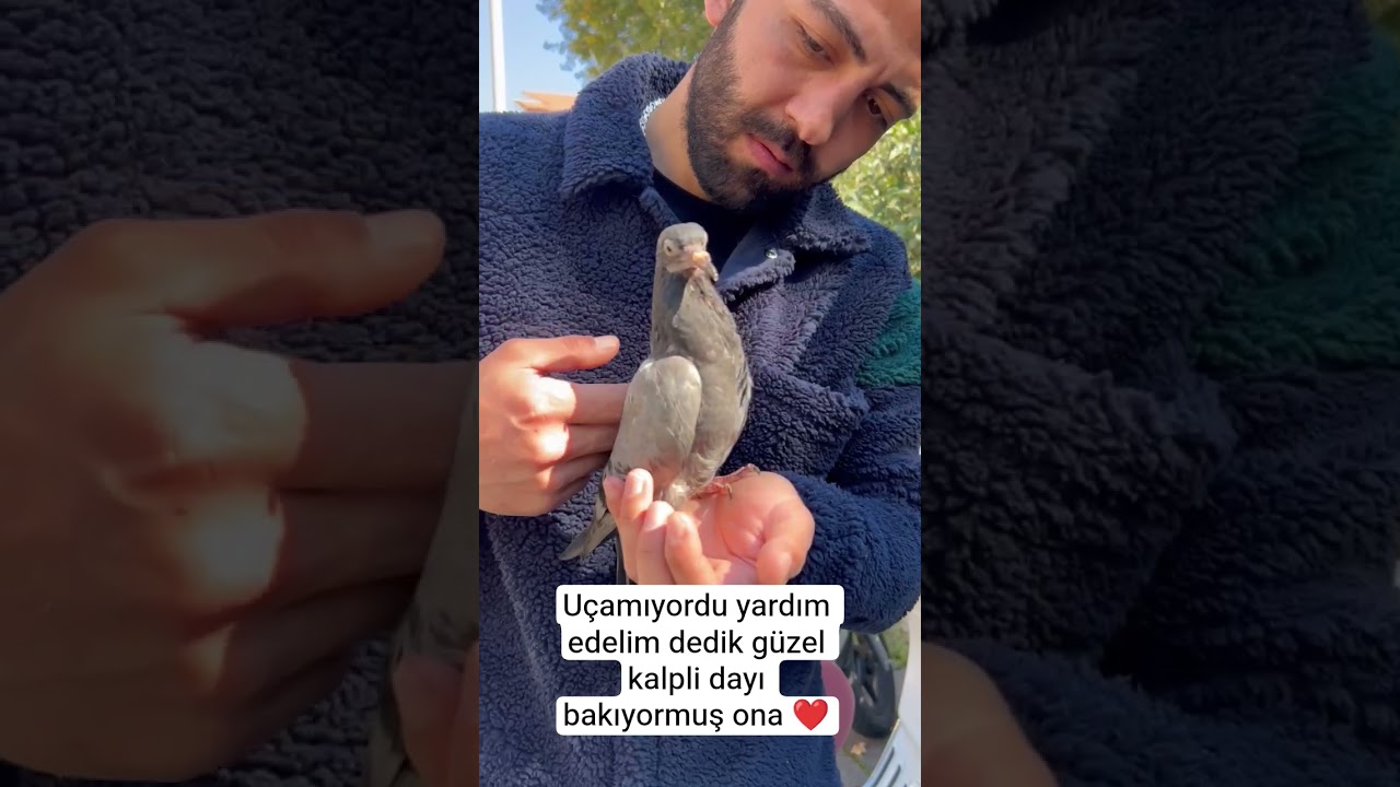 Ne güzel anlatıyor dayım ❤️