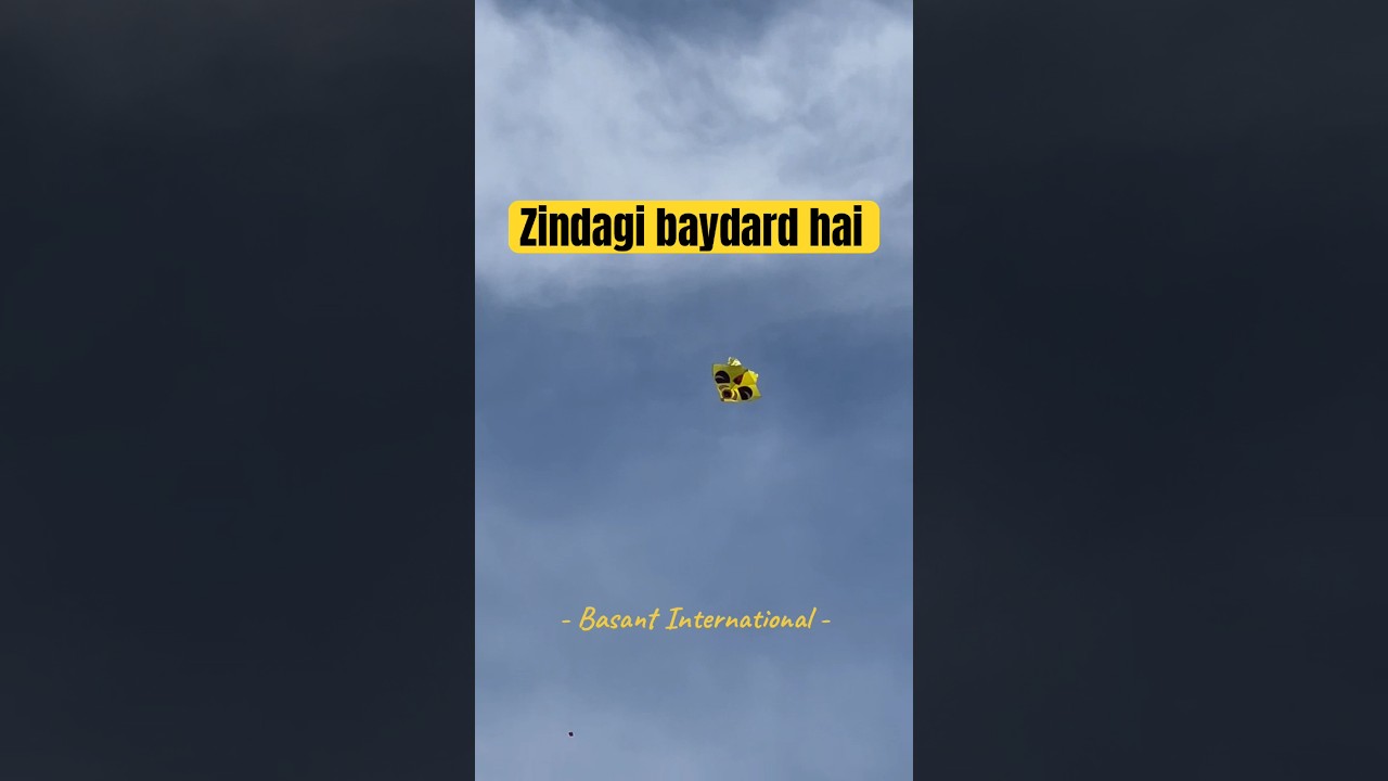 Basant Festival Pakistan 2024 | Kite Flying Video | #basant2024 #basantfestival #basantinternational