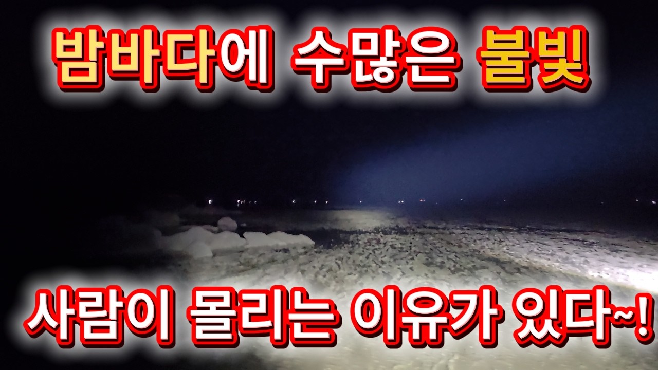 밤에 해루질가서 종류별로 잔뜩 잡았습니다~~!