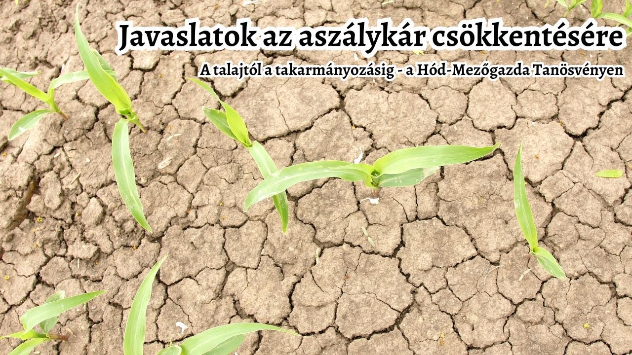 Aszály a talajtól a takarmányozásig - Így csökkenthető az aszálykár - Hód-Mezőgazda tanösvény