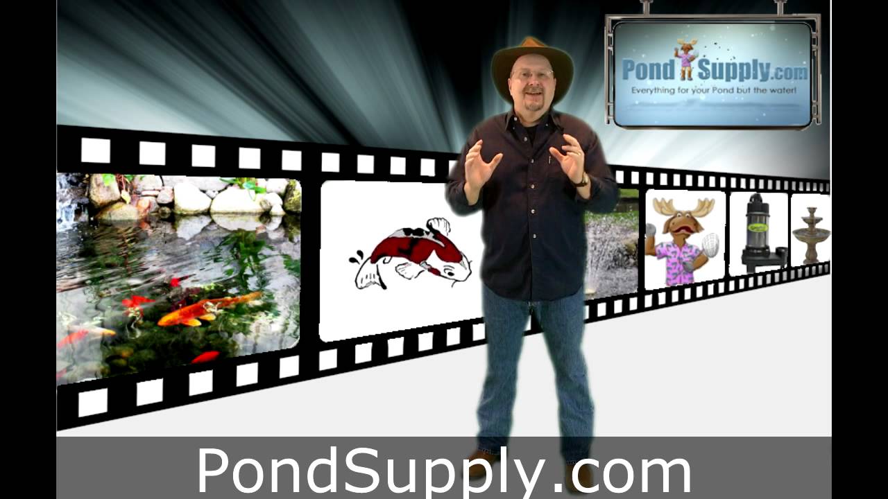 Preparing your pond for fish.