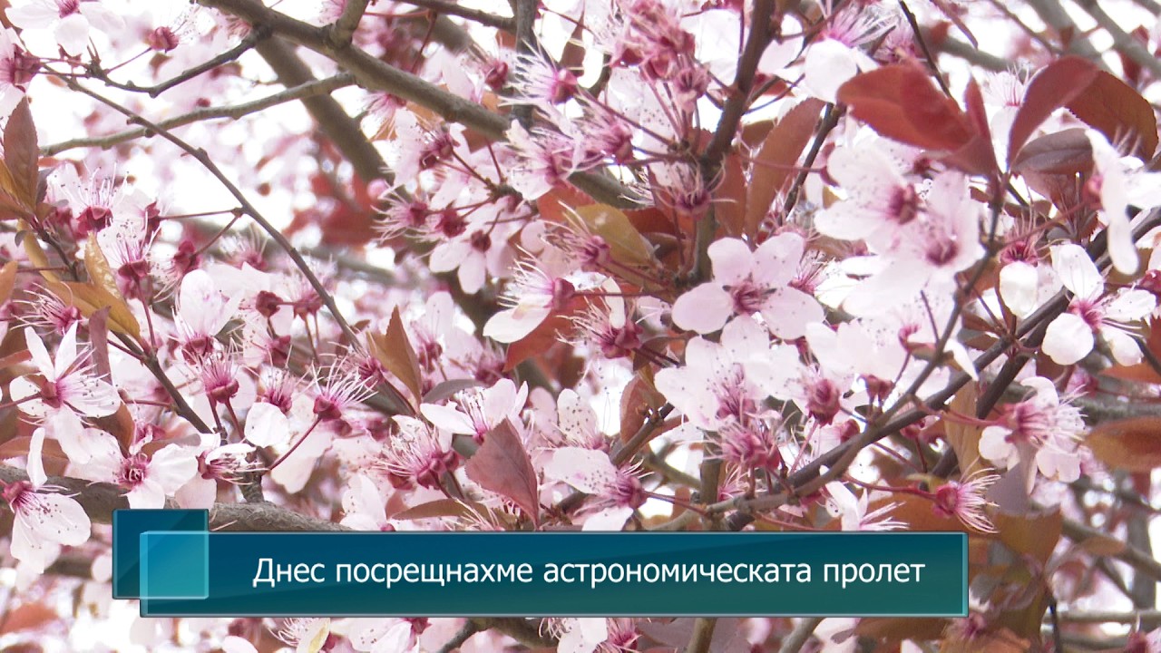 Днес посрещнахме астрономическата пролет
