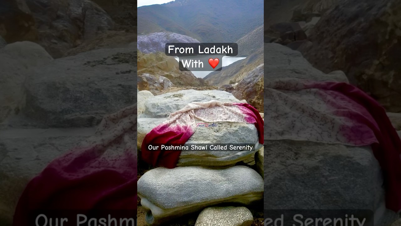 THREADS OF LADAKHI LEGACY #pashmina #fashenable #pashminashawl #ladakh #handloomlove #fashiontrends