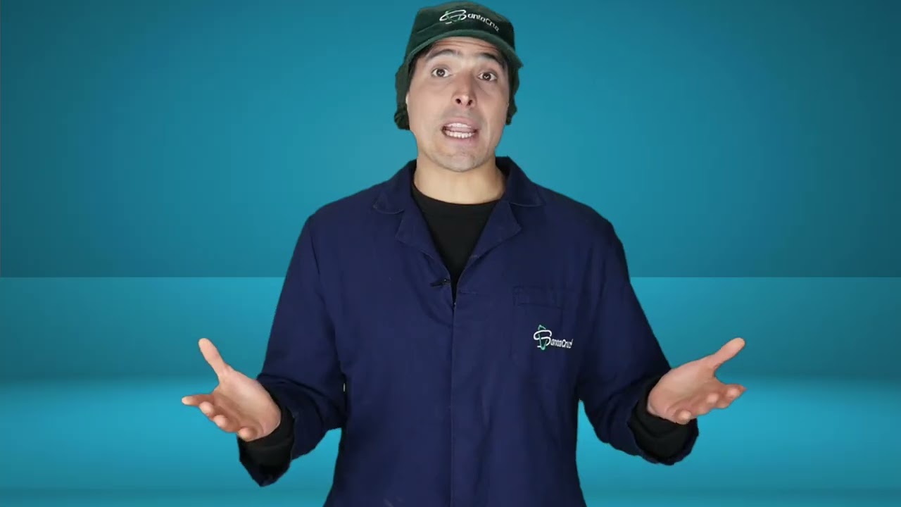 Importancia de la Cadena de Frío en la Fruta
