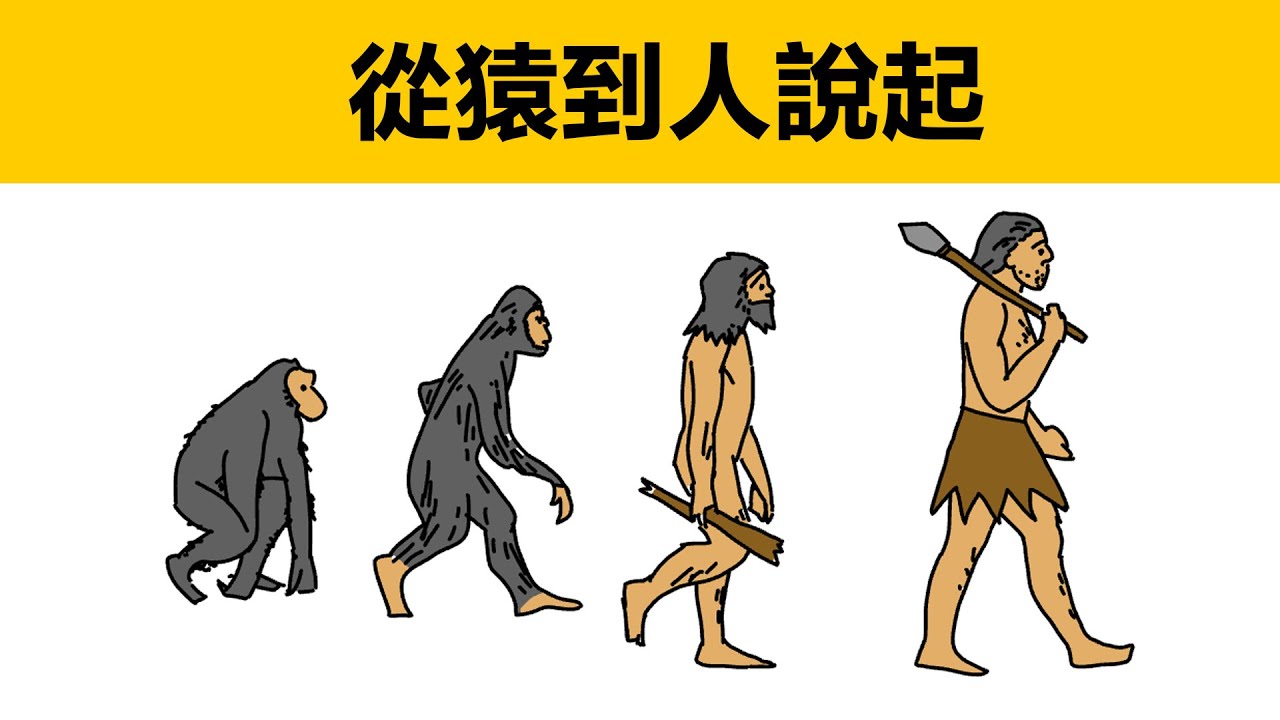 從猿到人|動畫科普|人類怎麼進化的|人是怎麼從猿進化到人的|原始人類|森林古猿|最早的猿人|智人|原始社會怎麼進化到國家的|最早的國家奴隸國家|氏族|木系氏族|人類的祖先|人類的祖先怎麼進化的|古猿