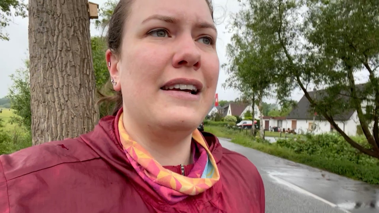 Mai und Juni 2025 - 2 Katzen ziehen ein & Fototour durch den “Grünen Bunker” - Mein Sportjahr 2025