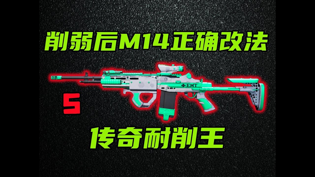 三角洲行动 输出不减依旧S级！削弱后最新M14满改方案教学！【S】