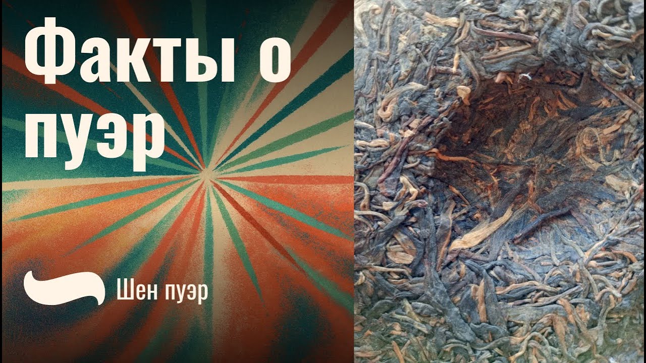 Факты о пуэре