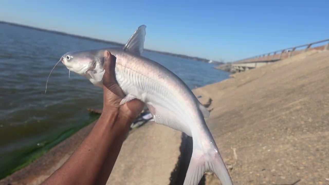 Catfishing At Lake Tawakoni!🎣