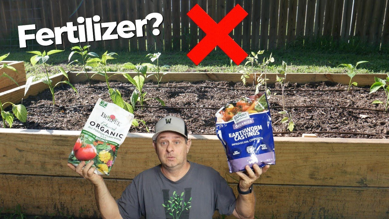 Are You Fertilizing Your Garden at the Worst Time?