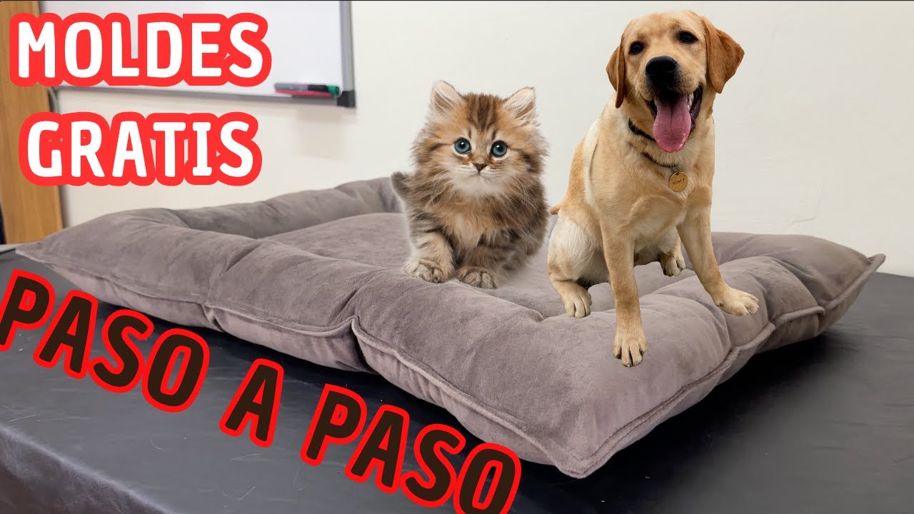 COMO HACER CAMA PARA MASCOTA Y ARRANCA TU EMPREDIMIENTO