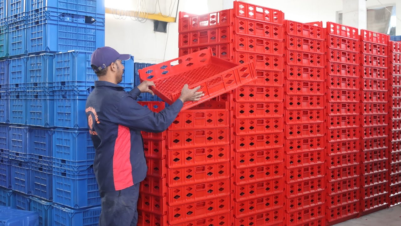 How Plastic Fruit Crates Are Made from Recycled Plastic | Factory Process Explained