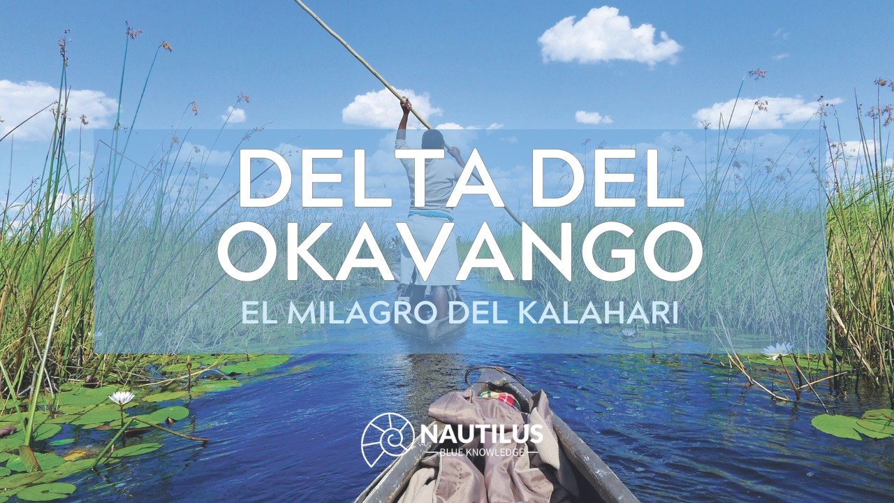 Delta del Okavango: el oasis que nace en el desierto