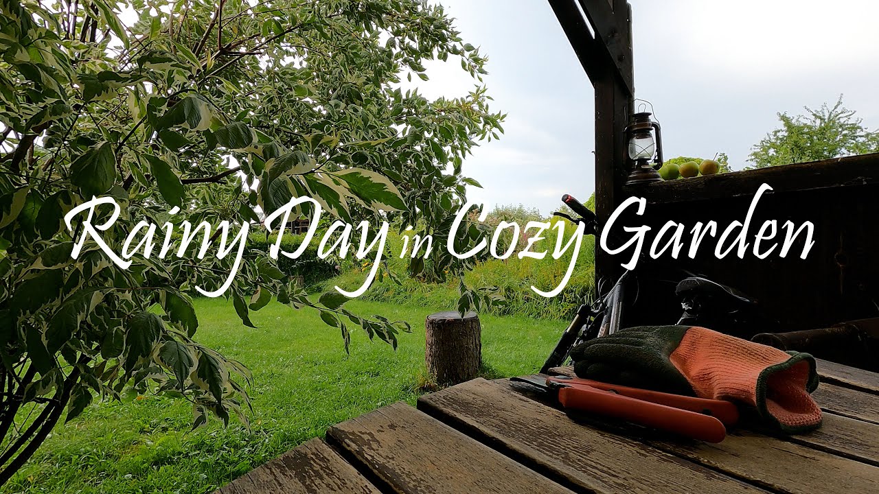30 minutes of a Rainy Day in my Cozy Garden. Relaxing real Rain Sound and View. ASMR Ambience.