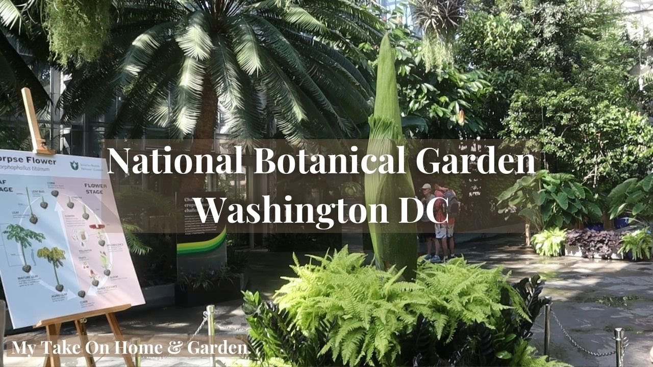 Walk With Us Through The National Botanical Garden in Washington DC!!