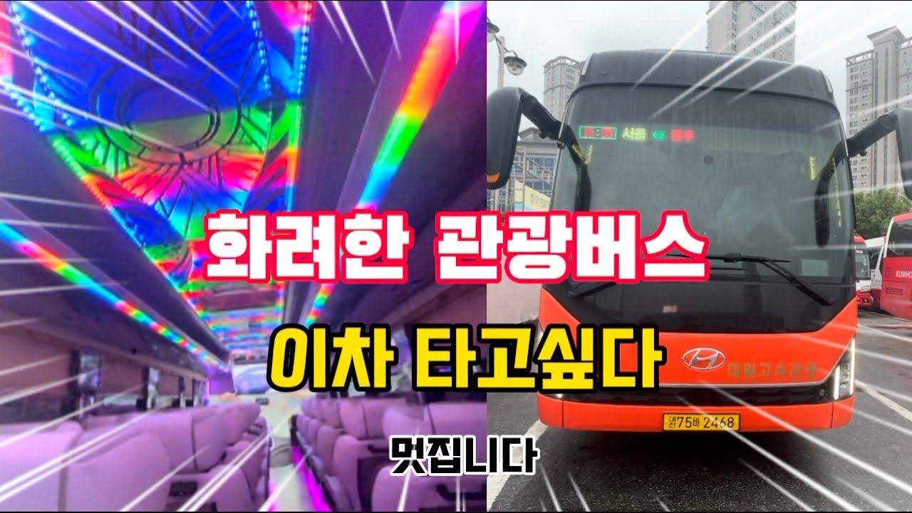 [같은차 다른 느낌] 구독자님 차량 대원고속 관광 //실내 조명이 끝내줘요^^