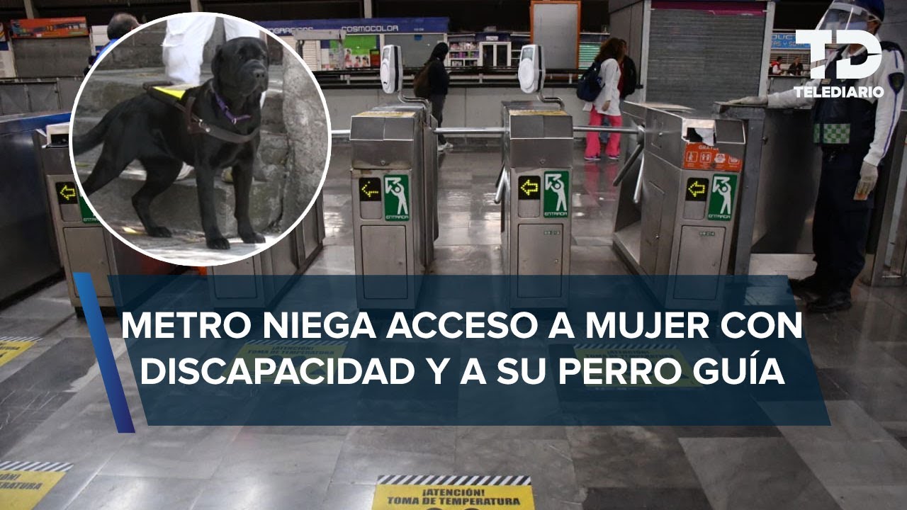 Personal del Metro CdMx niega acceso a Ivanna, con discapacidad visual, y su perro guía