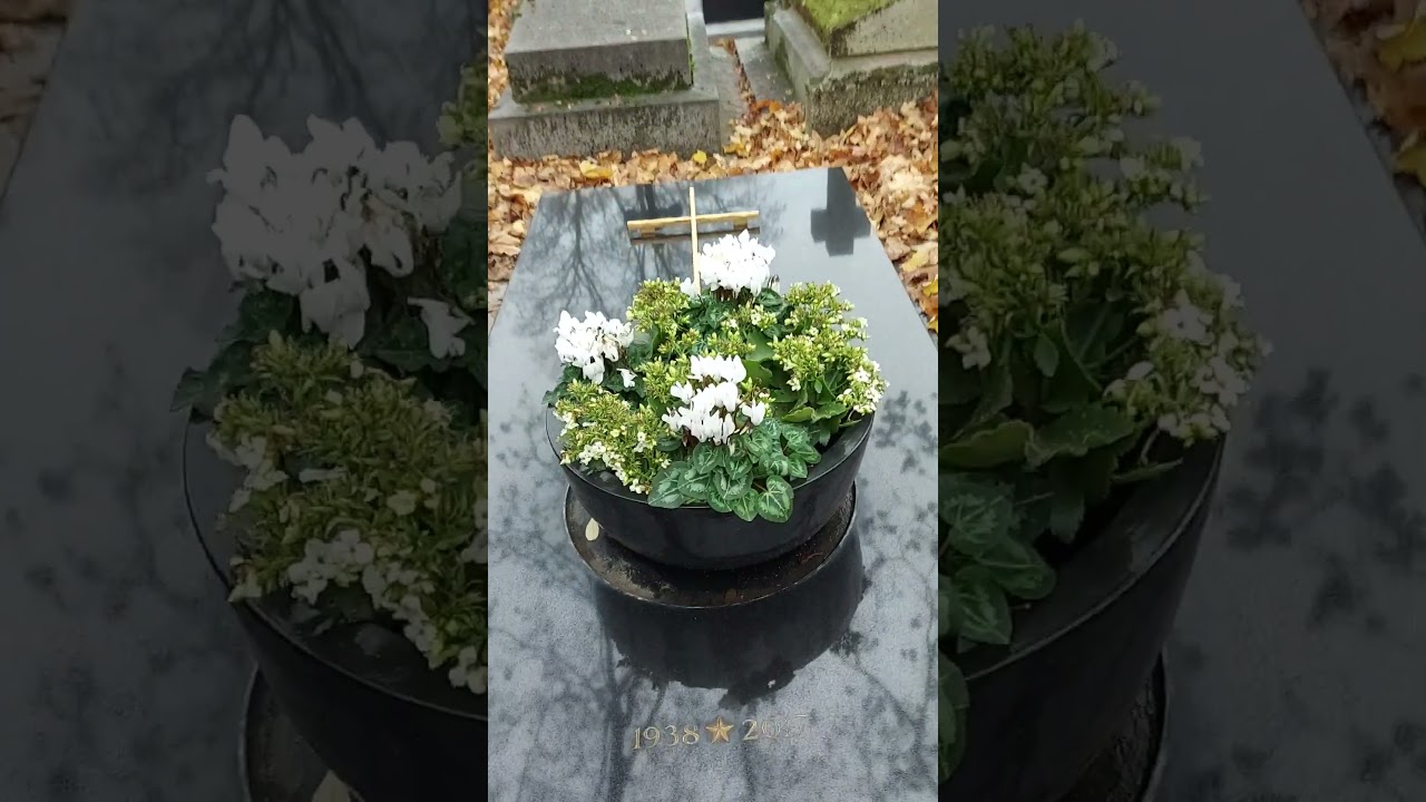 Tombe de Mireille Darc  - Cimeti&egrave;re Montparnasse