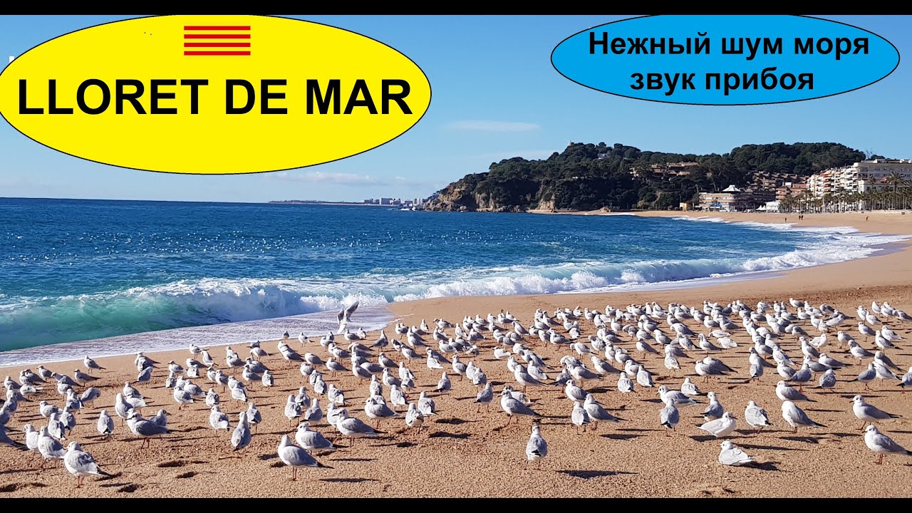 2021 LLORET DE MAR, КОСТА БРАВА, ШУМ СРЕДИЗЕМНОГО МОРЯ, ЗВУКИ ВОЛН, ШУМ ПРИБОЯ, EL SONIDO DEL MAR ..