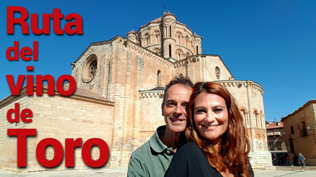 Toro, la ruta del vino y mucho más que ver...