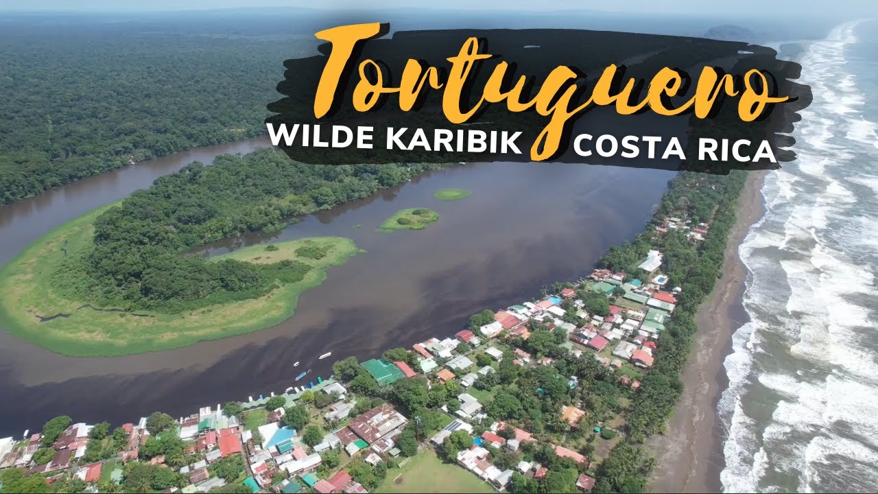 Tortuguero Costa Rica 2021 - SO SCHÖN ist die wilde Karibik Küste 🤩