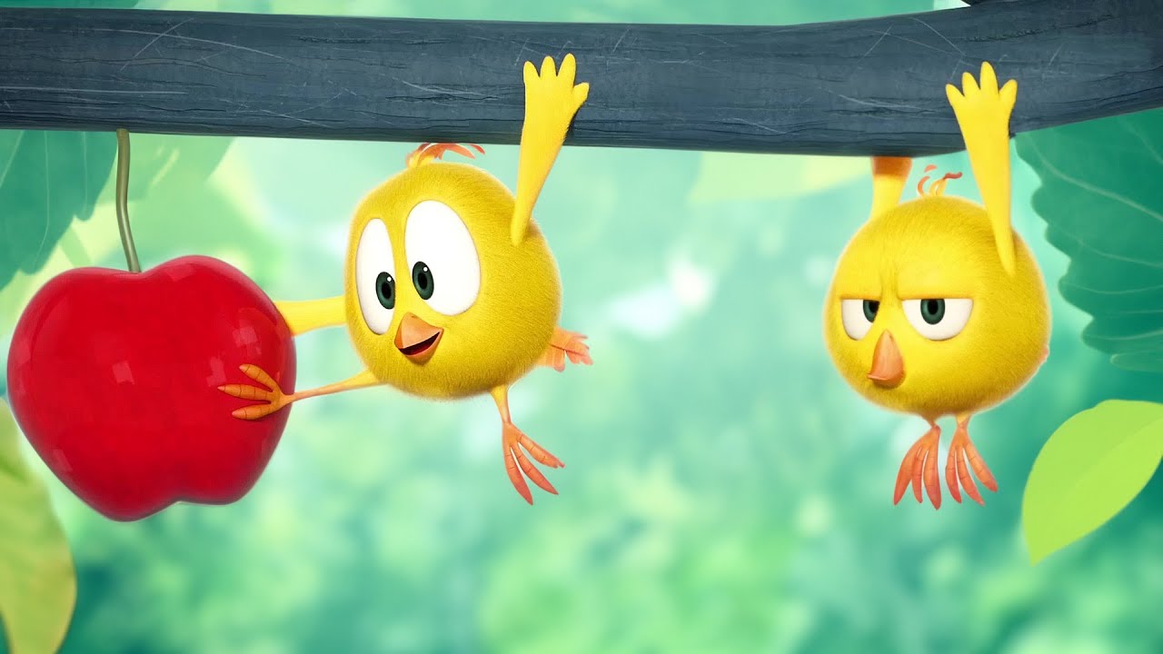 Dois pintinhos, maçã grande! | Onde está Chicky? | Coleção desenhos animados Infantil | Episódios HD