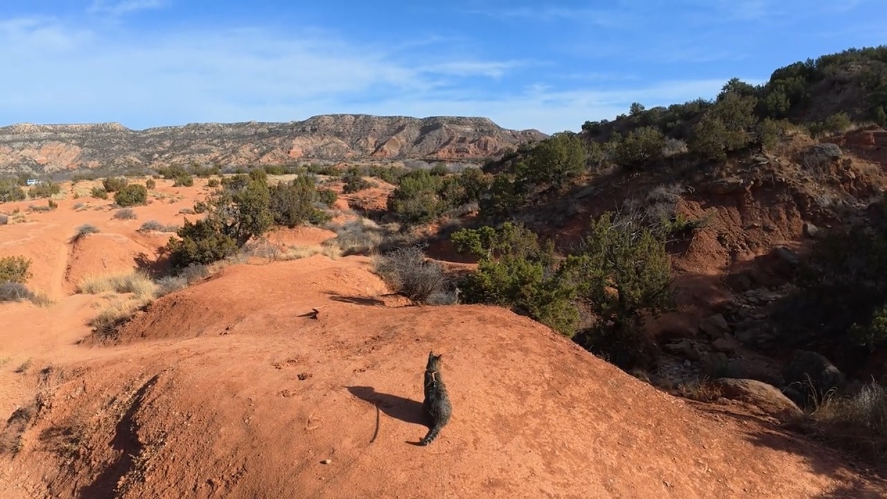 A Day in the Texas Canyonlands