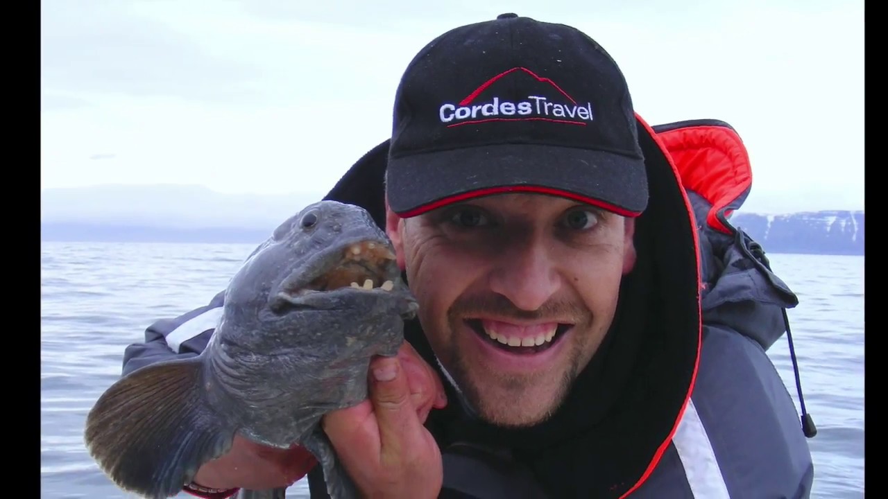 Vissen in IJsland visreis Westfjord