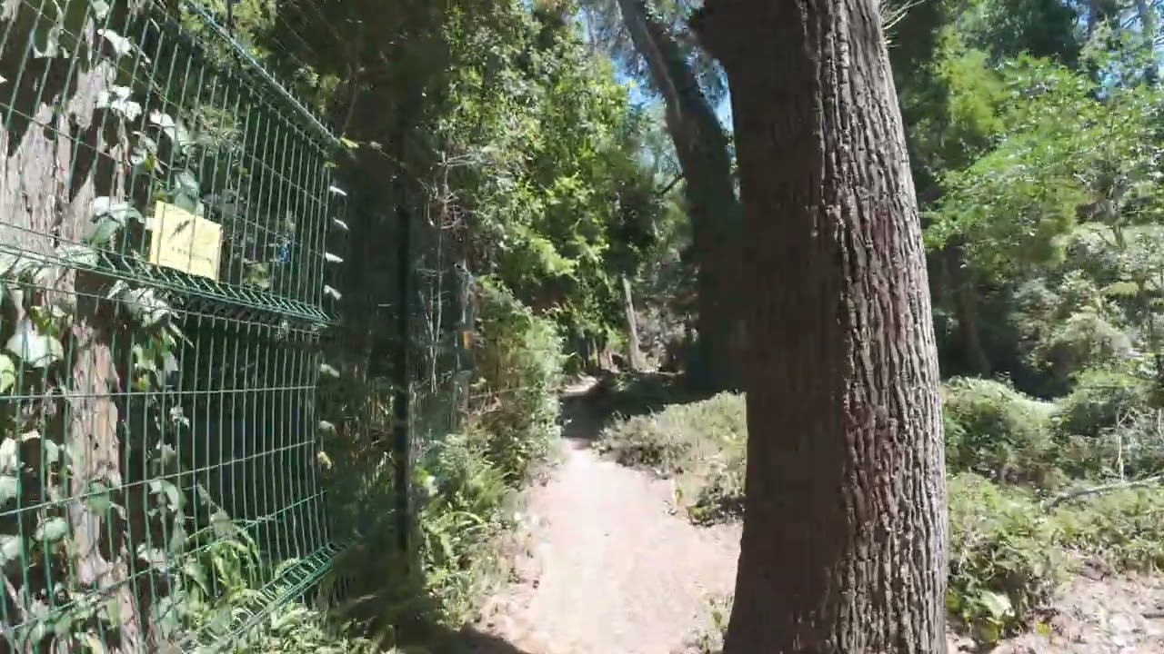 POV walk at Klaasenbosch Trail | Cape Town