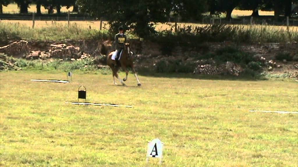 The Irish Minstrel dressage.MPG